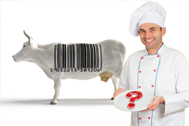 HACCP - TRACEABILITY MANUAL