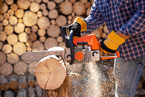 Corso Addestramento Motosega